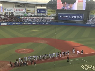 IMG_8936.jpg